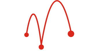Mojo Capital